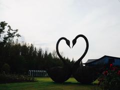 -东平国家森林公园