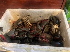 -瑞丽活螃蟹(芒市店)