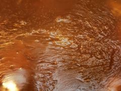 -泰国村酒楼(室内体育馆店)