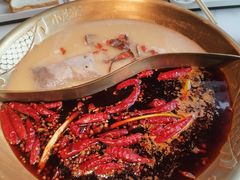 鸳鸯锅-小龙坎火锅(春熙太古里店)