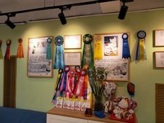 -猫十亿·布偶金渐层·曼基康矮脚猫舍(青年路店)
