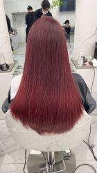 -潘多拉Hairsalon