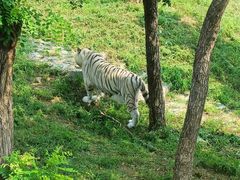 -石家庄市动物园
