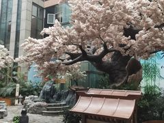 -嘉悦汗蒸时代(曙光路店)