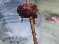 -陈记生蚝烧烤炒菜火锅