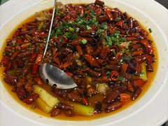 -北平盛世·新京菜·北京烤鸭(劲松·双井店)