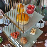 体验一般的白天鹅月兔吧
