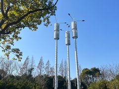 -上海吴淞炮台湾国家湿地公园