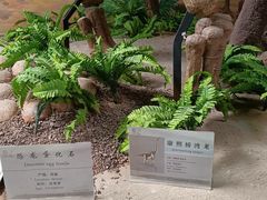 -延庆地质公园博物馆