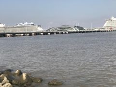 -吴淞炮台湾湿地森林公园烧烤区