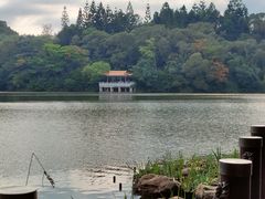 -深圳仙湖植物园