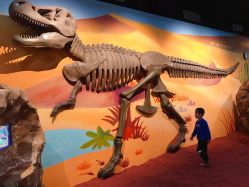 -北京科学中心儿童乐园