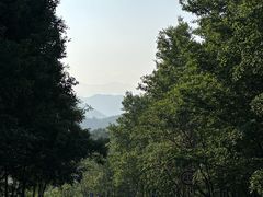 -玉渡山自然风景区