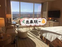 -拉斯维加斯永利酒店