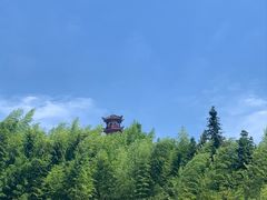 -蔡伦竹海