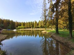 -黄海国家森林公园