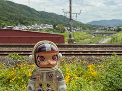 -岚山嵯峨野观光小火车