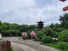 -北京世界公园