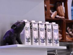 -WHEN PIGS FLY当猪飞