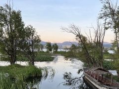 -洱海月湿地公园