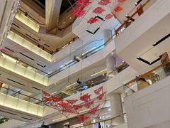 -岭南站NOVA