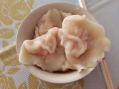 -宠乐会宠物乐园