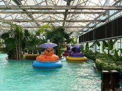 -南宫五洲植物乐园