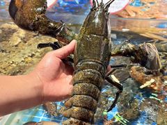 -连鹭海鲜·海肠捞饭·海胆饭(星海店)