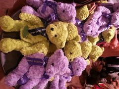 android_upload_pic-济州岛泰迪熊博物馆