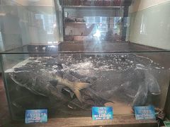 -上名堂·鱼头好吃(体育场路店)