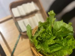 -菌子鲜汤野生菌锅