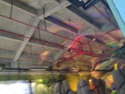 -恐龙探索乐园(磁器口店)