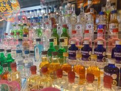 -枫花园汽车电影院(朝阳公园店)