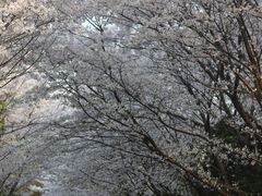 -长广溪湿地公园