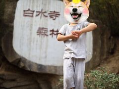 -白水寺森林公园