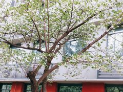 -四川大学(望江校区)