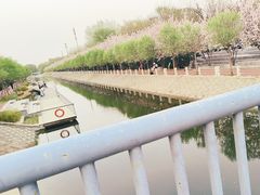 -海棠花溪(元大都城垣遗址公园)