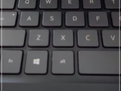 -半天妖烤鱼(丰科万达店)