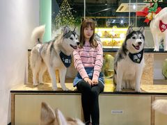-Husky Go! 哈士奇体验馆·宠物咖啡厅狗咖