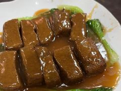 -东鸽皇(奥园·中环广场店)