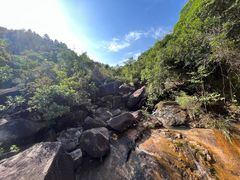 -广州白江湖森林公园