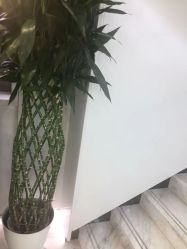 -悟空祛痘·诺奖技术专业店