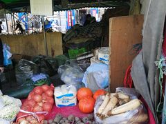 -何庄子阿米玛玛农产品批发市场