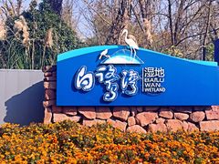 -白鹭湾湿地公园