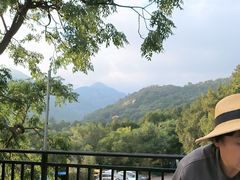 -蘇河湾·新鲁菜·泰山宴(泰山店)