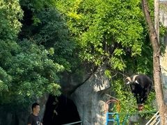 -南昌动物园