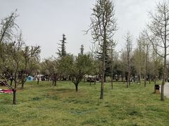-洨河生态公园
