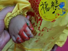 -杨梅红艺术教育(凤城教学中心)