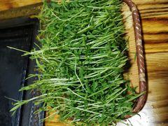 -滇藏石锅宴(北门坡古城管理局店)