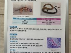 -北京观赏动物医院·24小时大型综合·猫专科·异宠专科
